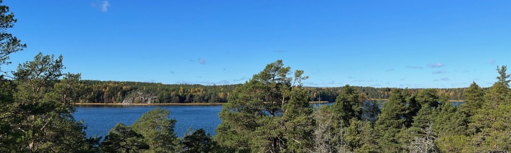 Återfunnit min plats på sadeln