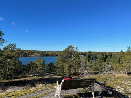 Återfunnit min plats på sadeln